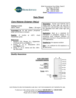 Data Sheet Core Histone Octamer (HeLa)