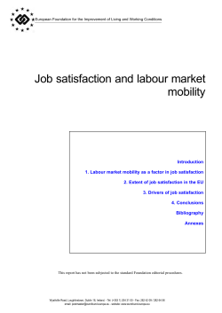 Job satisfaction and labour market mobility