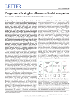 Programmable single-cell mammalian biocomputers