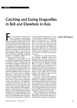 Catching and Eating Dragonflies in Bali and Elsewhere in Asia