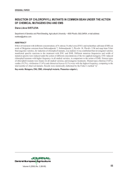 INDUCTION OF CHLOROPHYLL MUTANTS IN COMMON BEAN