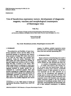 Use of baculovirus expression vectors