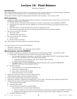 Packet 19- Fluid balance