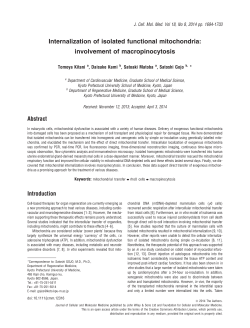 Internalization of isolated functional mitochondria: involvement of