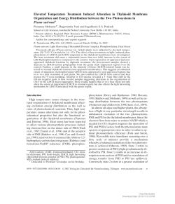 Elevated Temperature Treatment Induced Alteration in