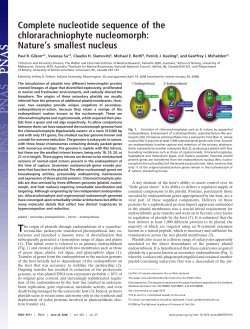 Complete nucleotide sequence of the