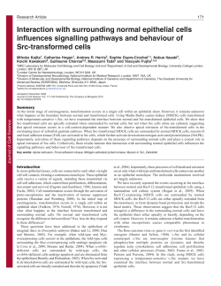 PDF + SI - Journal of Cell Science