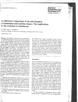 An allometric comparison of the mitochondria of mammalian and