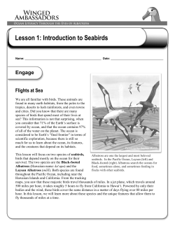 Lesson 1: Introduction to Seabirds