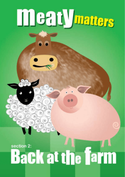 Section 2 - Meaty Matters - Back at the Farm