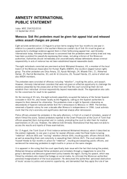 PDF - Amnesty International
