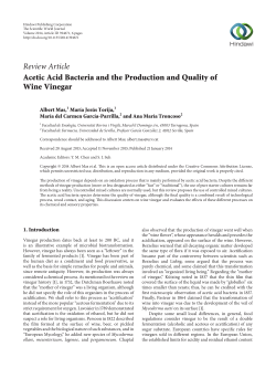 Acetic Acid Bacteria and the Production and Quality of Wine Vinegar