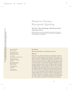 PLASTID-TO-NUCLEUS RETROGRADE SIGNALING
