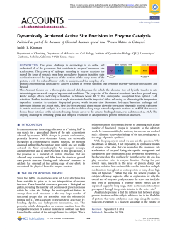 Dynamically Achieved Active Site Precision in Enzyme Catalysis