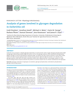 Analysis of genes involved in glycogen degradation in Escherichia coli