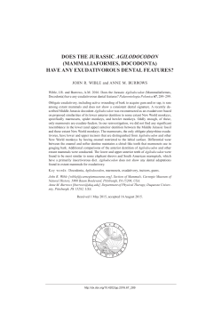 does the jurassic agilodocodon