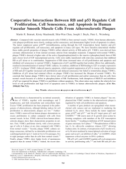 Cooperative Interactions Between RB and p53 Regulate Cell