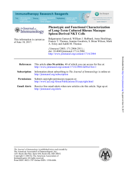Spleen-Derived NKT Cells of Long-Term Cultured Rhesus Macaque