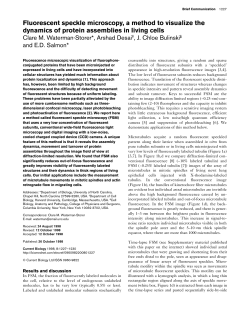 Fluorescent speckle microscopy, a method to visualize the dynamics