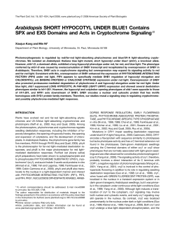 Arabidopsis SHORT HYPOCOTYL UNDER BLUE1 Contains SPX