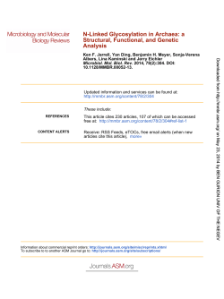 N-Linked Glycosylation in Archaea