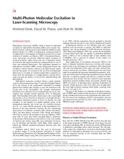 Multi-Photon Molecular Excitation in Laser-Scanning
