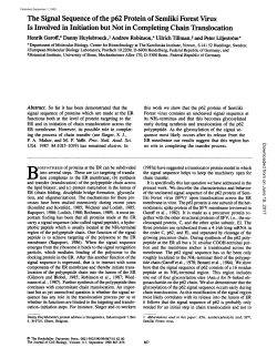 The Signal Sequence of the p62 Protein of Semliki Forest Virus Is