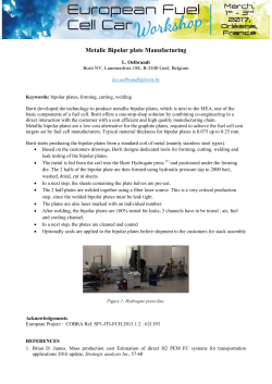 Metalic Bipolar plate Manufacturing