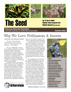 Pollinators - Nebraska Statewide Arboretum