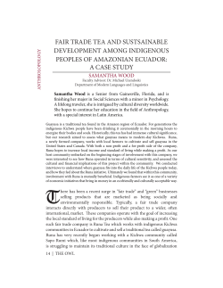 this PDF file - Florida Online Journals