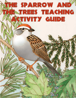 The Sparrow and the Trees Teaching Activity Guide