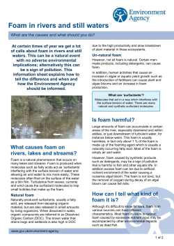 Foam info - Bristol Avon Rivers Trust