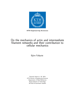On the mechanics of actin and intermediate filament networks and