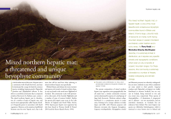 Mixed northern hepatic mat - Royal Botanic Garden Edinburgh