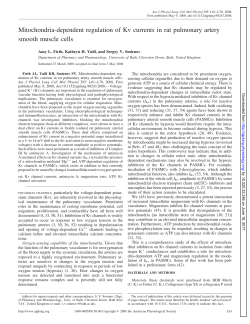 Mitochondria-dependent regulation of Kv currents in rat - AJP-Lung