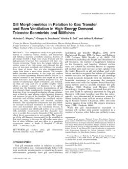 Gill morphometrics in relation to gas transfer and ram ventilation in