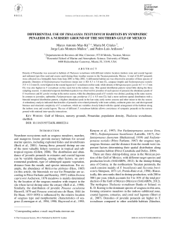 DIFFERENTIAL USE OF THALASSIA TESTUDINUM HABITATS BY