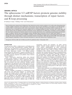 The spliceosome U2 snRNP factors promote genome