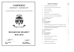 (A) TURNAROUND STRATEGY PLAN 2010-11