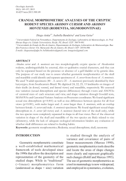 CRANIAL MORPHOMETRIC ANALYSES OF THE CRYPTIC