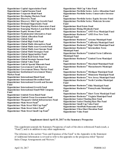 Supplement dated April 10, 2017 to the Summary Prospectus This