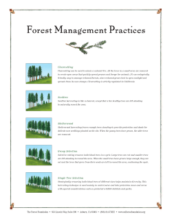 Clearcutting Seedtree Shelterwood Group Selection Single Tree