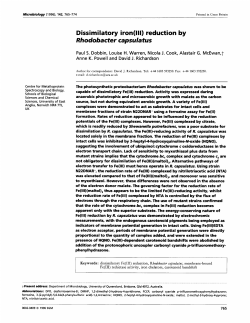 Dissimilatory iron(lll) reduction by Rhodobacter