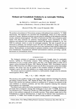 Methanol and Formaldehyde Oxidation by an Autotrophic Nitrifying