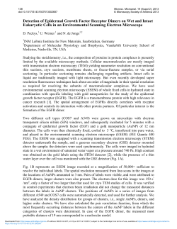 Detection of Epidermal Growth Factor Receptor Dimers on Wet and