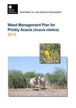 Prickly acacia management plan - Northern Territory Government