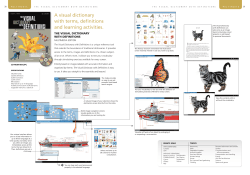 A visual dictionary with terms, definitions and