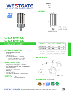 Corn Lamp EZ2 Series (100w)