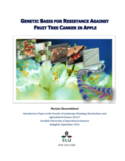 Marjan Ghasemkhani - Epsilon Open Archive