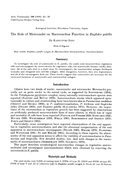 The role of micronuclei on macronuclear function
